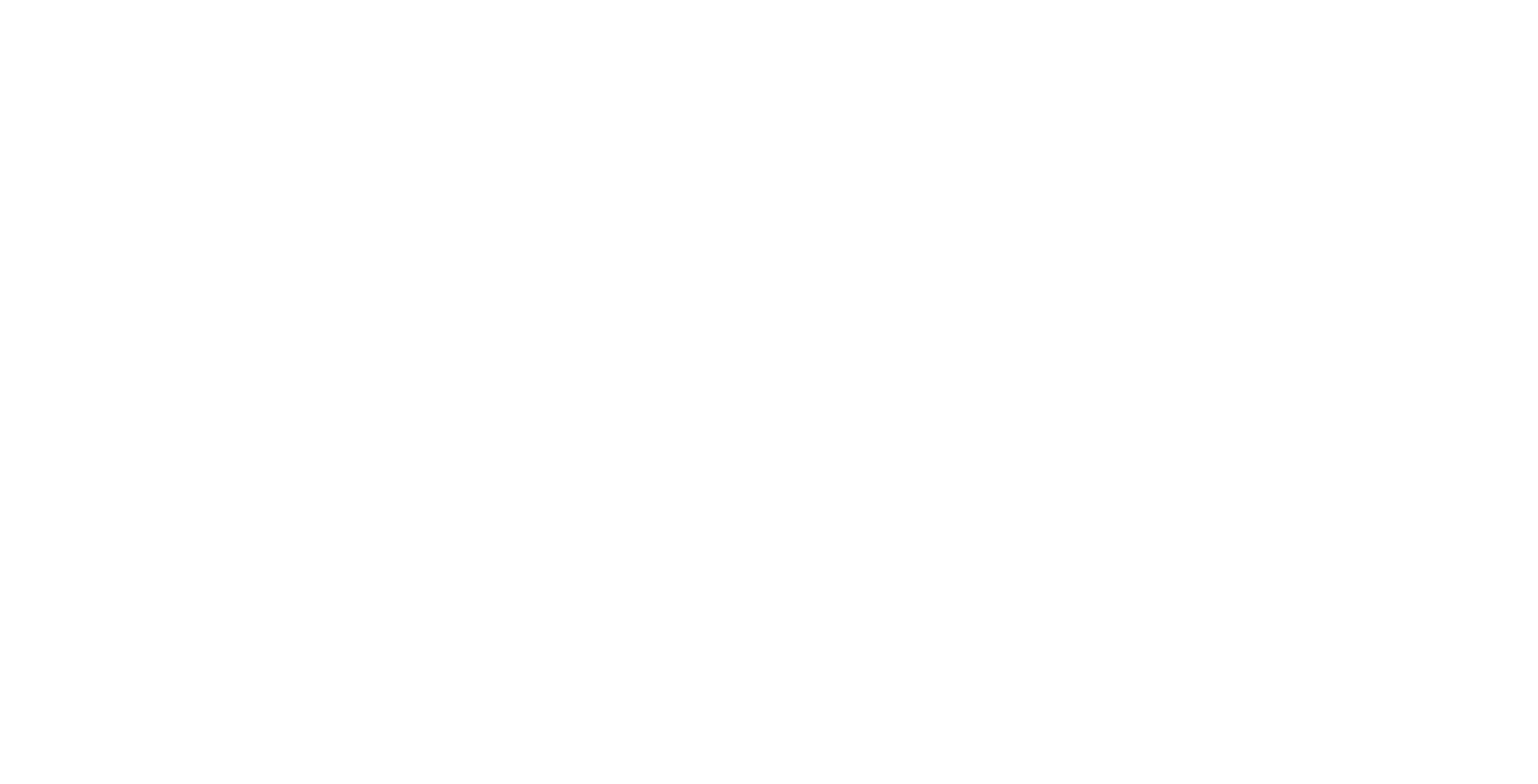 Rich Media Inc.